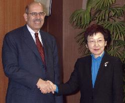 Kawaguchi holds talks with ElBaradei